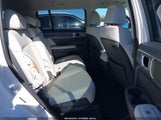 Miniaturka zdjęcia 8