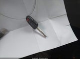 Miniaturka zdjęcia 11