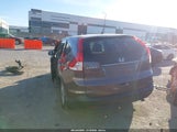 Miniaturka zdjęcia 3