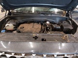 Hyundai Santa Fe Sel 5NMS2DAJ1NH431214 photo