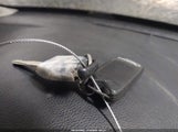 Miniaturka zdjęcia 11