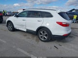 Miniaturka zdjęcia 3