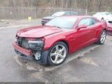 Miniaturka zdjęcia 2