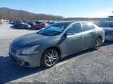 Nissan Maxima 3.5 Sv 1N4AA5AP2AC855217 снимка