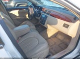 Miniaturka zdjęcia 5