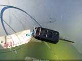 Miniaturka zdjęcia 11