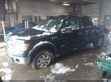 Ford F-150 Xlt 1FTFW1ET6DKD63673 снимка