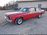 Chevrolet Nova 1X17Q6W243382 снимка