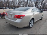 Miniaturka zdjęcia 4