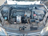Honda Accord Lx 1HGCR2F33DA022043 снимка