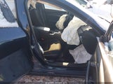 Miniaturka zdjęcia 5