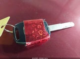 Miniaturka zdjęcia 11