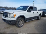 Ford F-150 Fx4/King Ranch/Lariat/Platinum/Xl/Xlt 1FTPW14V89FA04073 снимка