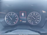 Miniaturka zdjęcia 7