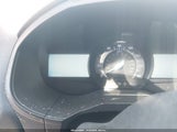 Miniaturka zdjęcia 7