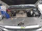 Miniaturka zdjęcia 10