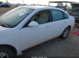 Chevrolet Impala Limited Ls 2G1WA5E36F1162616 снимка