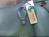 Miniaturka zdjęcia 11