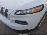 Jeep Cherokee Latitude 1C4PJLCB8EW186854 снимка