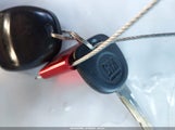 Miniaturka zdjęcia 11
