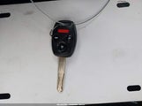 Miniaturka zdjęcia 11