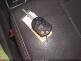 Miniaturka zdjęcia 11