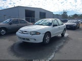 Chevrolet Cavalier 1G1JC52F657186189 снимка