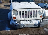 Jeep Wrangler Unlimited Sahara 1J4HA5H16AL185725 fotografie