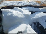 Toyota Rav4 Limited JTMBD31V286064543 снимка