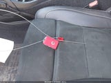 Miniaturka zdjęcia 11