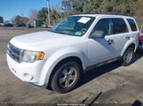 Ford Escape Xlt 1FMCU9DG6AKC84961 снимка