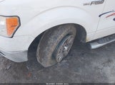 Ford F-150 Xlt 1FTFW1EF9BFC89598 снимка