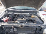 Miniaturka zdjęcia 10