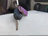Miniaturka zdjęcia 11
