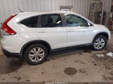 Honda Cr-V Ex-L 5J6RM4H78EL119094 снимка