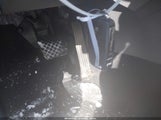 Miniaturka zdjęcia 11