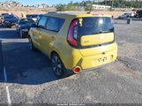 Miniaturka zdjęcia 3