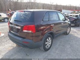 Miniaturka zdjęcia 4