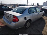 Chevrolet Malibu Ls 1G1ZT54805F240481 fotografie