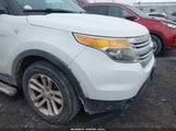Miniaturka zdjęcia 6