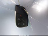 Miniaturka zdjęcia 11