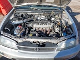 Honda Accord Ex 1HGCD5560TA098457 снимка