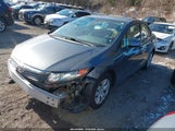 Miniaturka zdjęcia 2