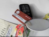 Miniaturka zdjęcia 11