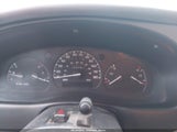 Miniaturka zdjęcia 7