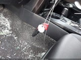Miniaturka zdjęcia 11