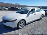 Honda Accord Lx 1HGCY1F29PA008396 photo