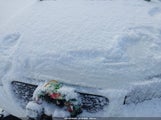 Miniaturka zdjęcia 10