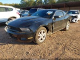 Ford Mustang V6 1ZVBP8AM5C5234028 снимка