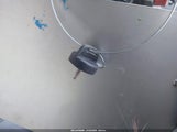 Miniaturka zdjęcia 11